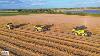 3x New Holland Combine Harvesting Grain Loonbedrijf Stassen 2024