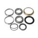 Axle Bearing Kit fits New Holland L180 L185 L865 LS180 LS190 LX865 LX885 B93911