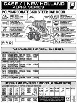 CASE Skid Steer Cab Doors For ALL ALPHA SERIES